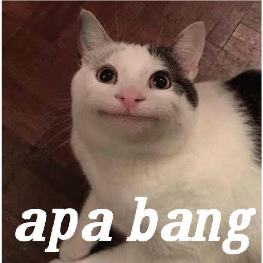 Meme 2 4