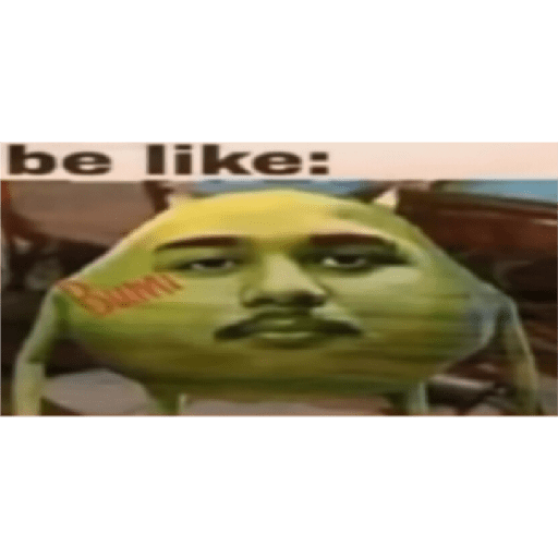Meme 2 13