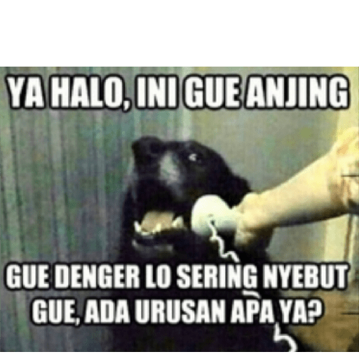 Meme 2 19