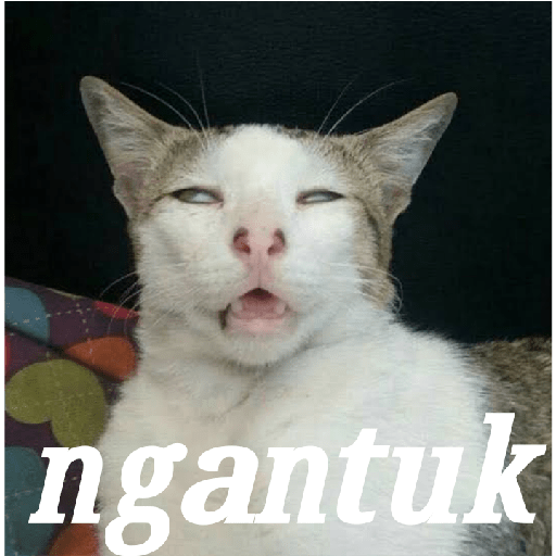 Meme 2 3