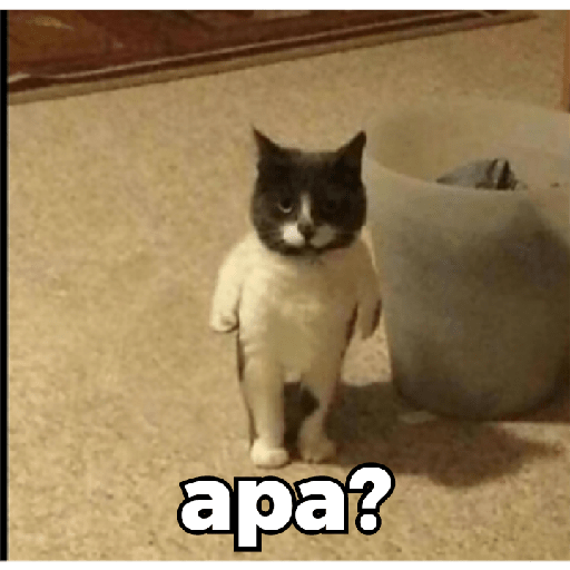 Meme 2 24