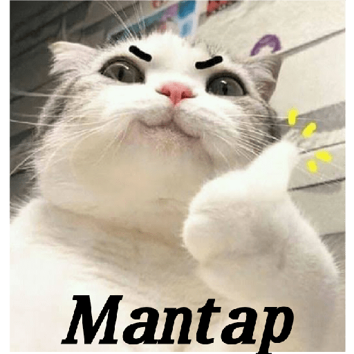 Meme 2 2
