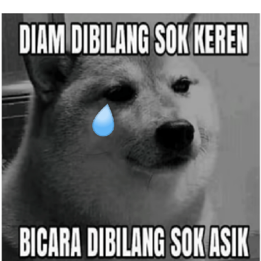 Meme 2 29