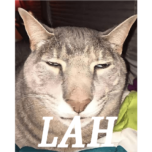 Meme 2 5