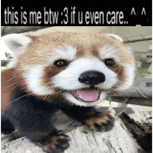 Ahahahaahahahhaa 1