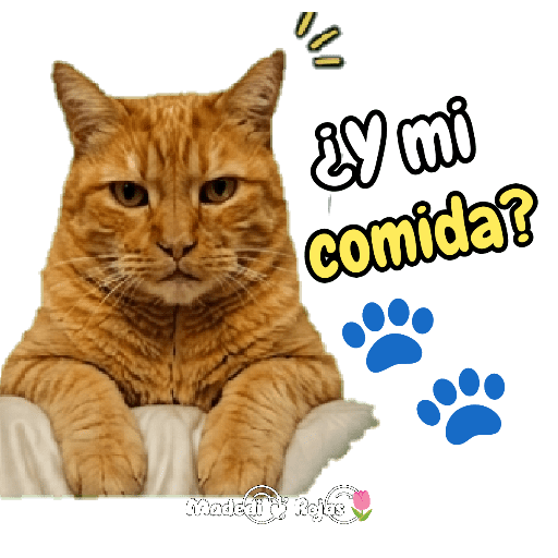 Michi Mood Dorito 😸💬🌷