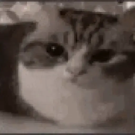 Random GIF memes V2 2