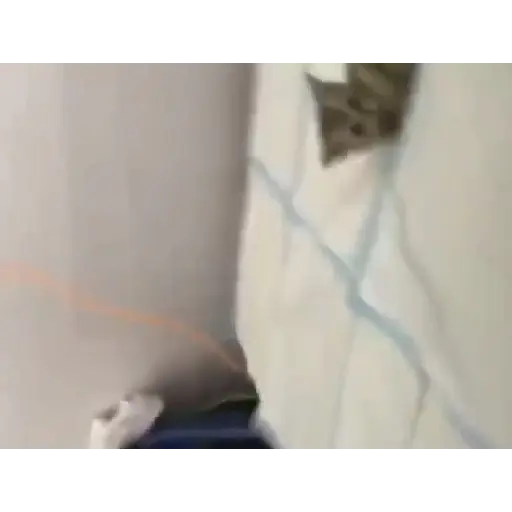 Random GIF memes V2 4