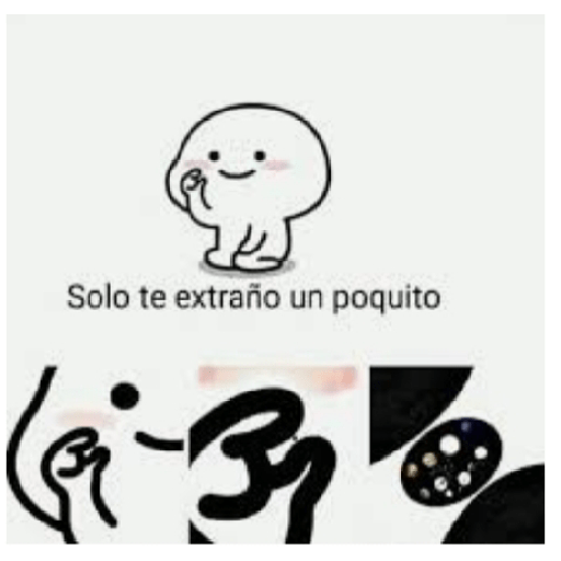 Monitos blancos chinos 14