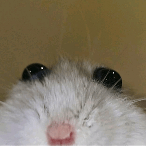 1374910416.png
