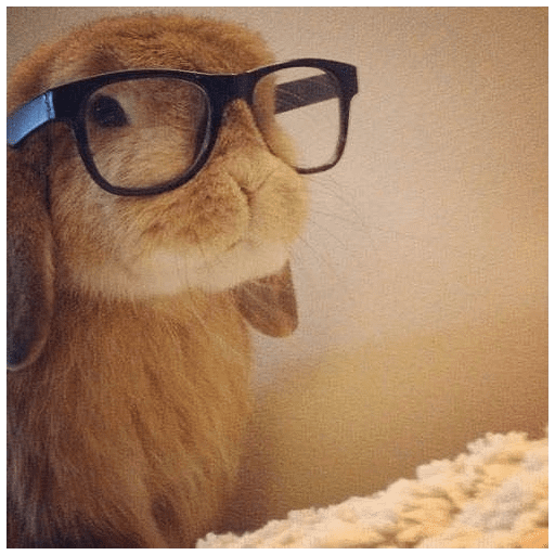 ╭・Conejoss𓂃❨˖ ₊ ⊹ 5