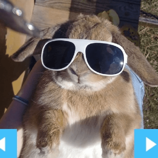 ╭・Conejoss𓂃❨˖ ₊ ⊹ 16