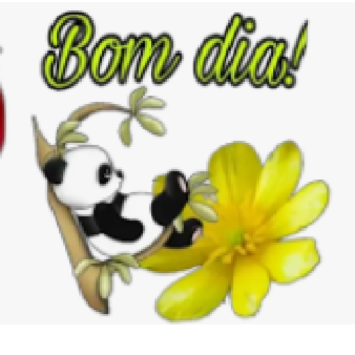 Oioi 15