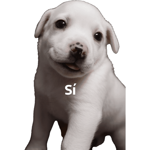 Stickers Jsjs 16