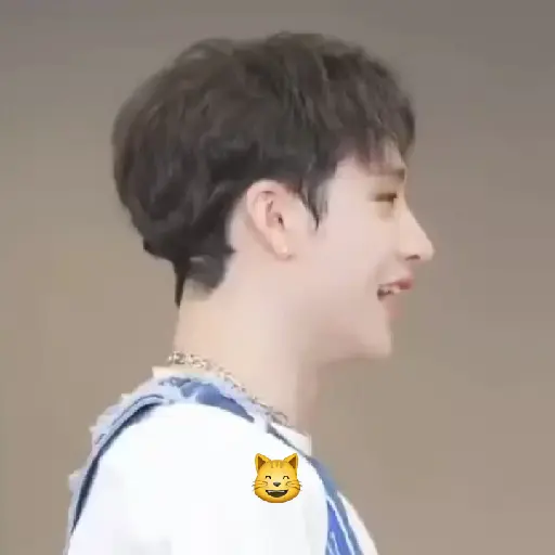 ── Bangchan Animado  ☦︎  〢 11