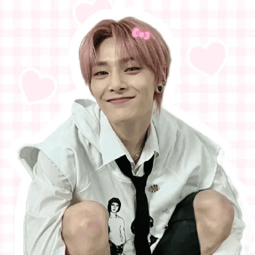 I.N skz 2
