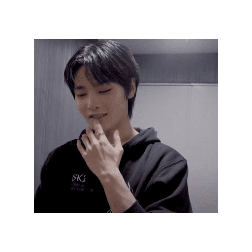 I.N skz 4