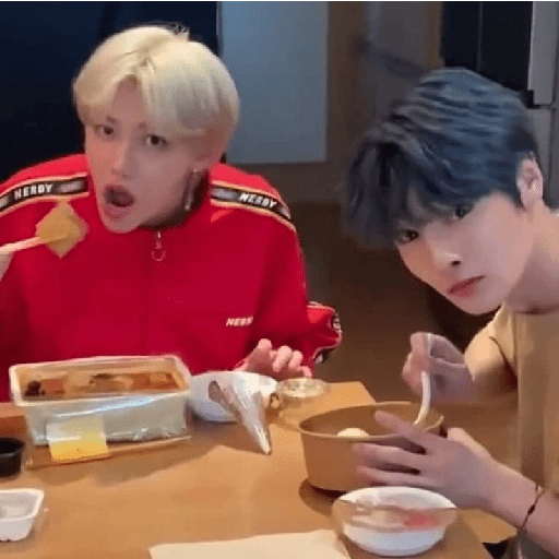 I.N skz 5