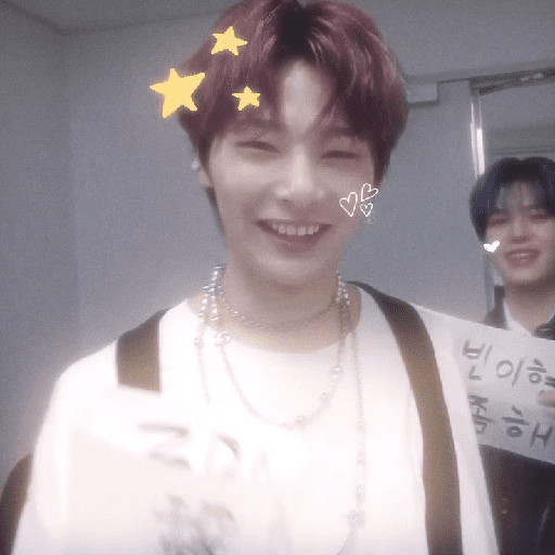I.N skz 6