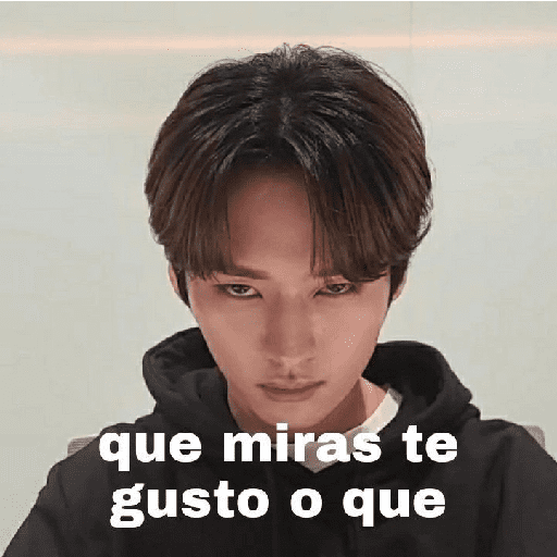 I.N skz 7