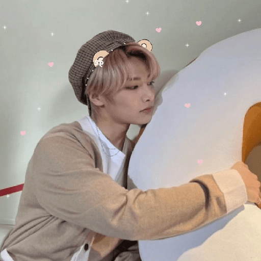 I.N skz 8