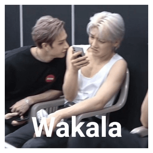 I.N skz 10