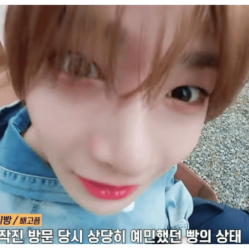 I.N skz 11