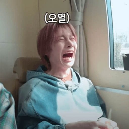 I.N skz 12