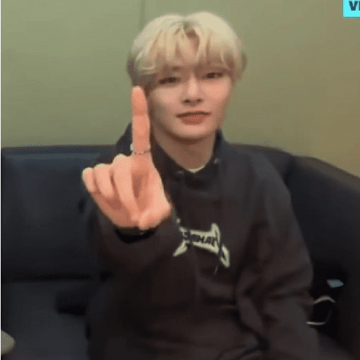 I.N skz 13
