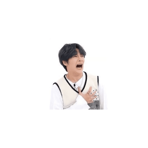 I.N skz 15