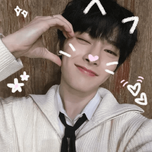 I.N skz 16