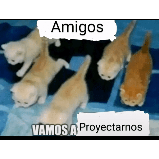 Holam todosm 29
