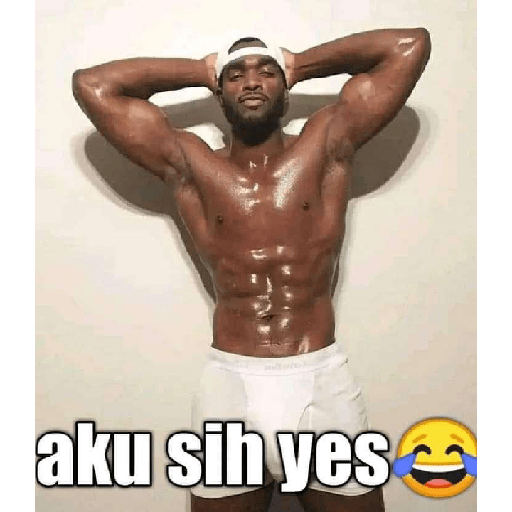 ANIMEK 26