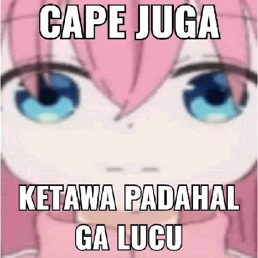 ANIMEK 21