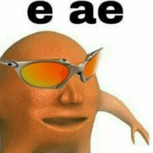 Memes pra qualquer situação 12