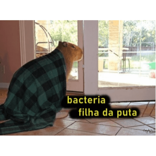Memes pra qualquer situação 19
