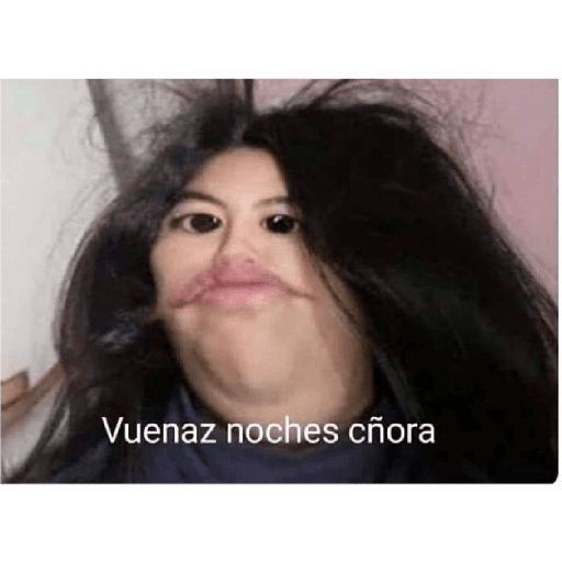 Memes pra qualquer situação