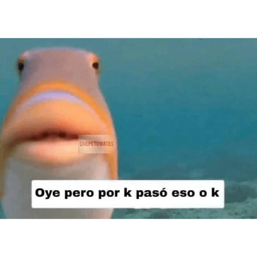 Memes pra qualquer situação 16