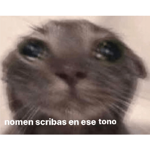 Memes pra qualquer situação 4