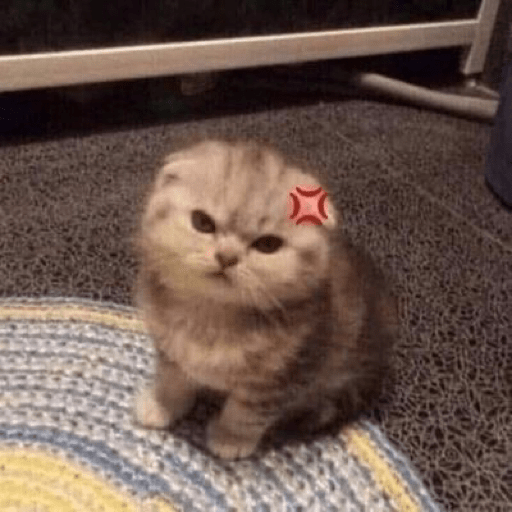 Gatitos random  12