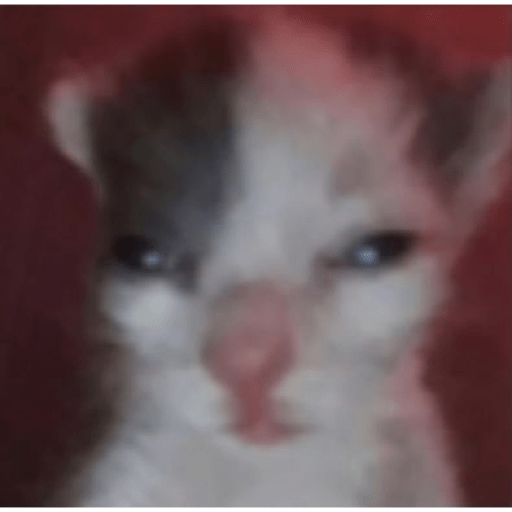 Gatitos random  18