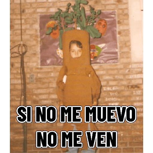 Negrito 7
