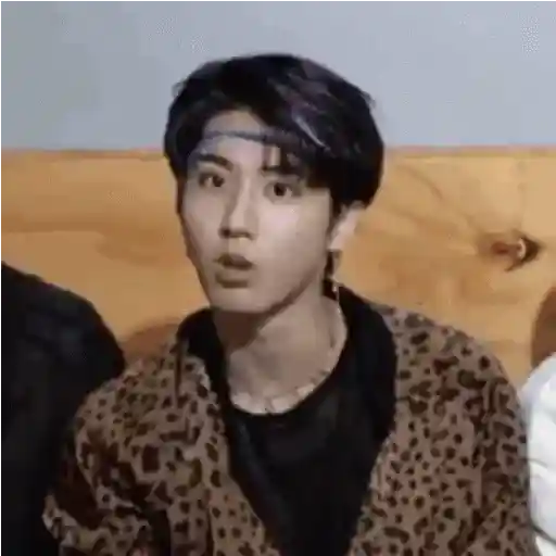 Stray kids animado II 8