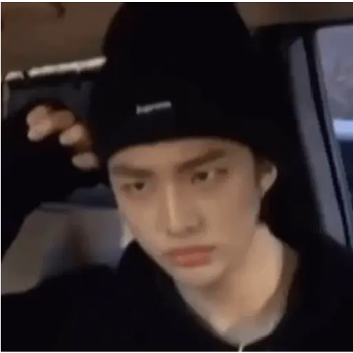 Stray kids animado II 9