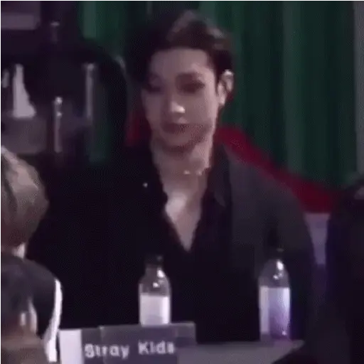 Stray kids animado II 12