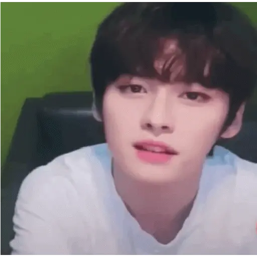 Stray kids animado II 14