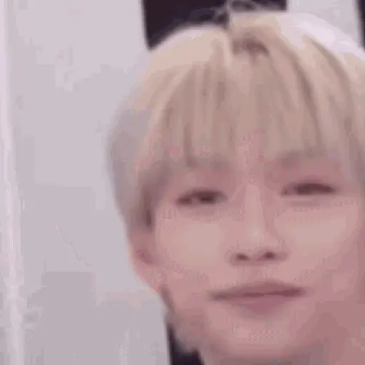 Stray kids animado II 16