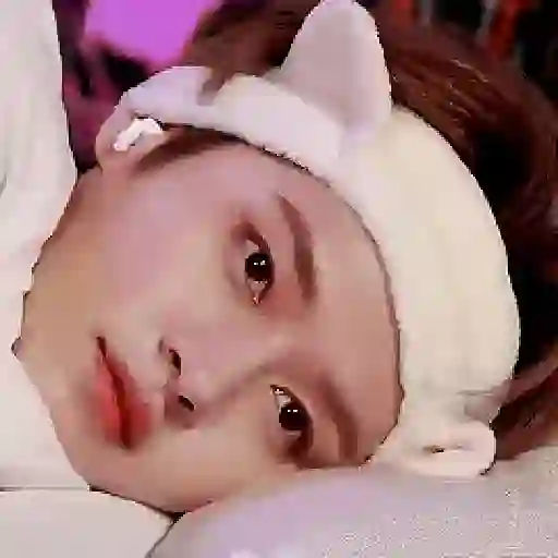 Stray kids animado II 18