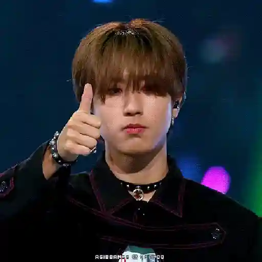 Stray kids animado II 19