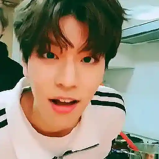 Stray kids animado II 20